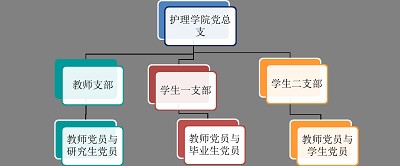 九球直播官网党总支介绍
