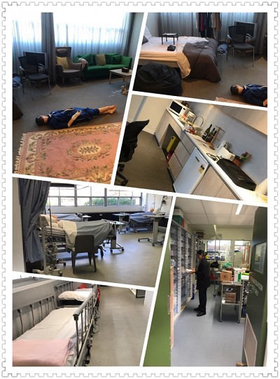 【澳大利亚杜肯访学系列报道】点滴迪肯,越发热爱----澳州迪肯大学访学第二弹