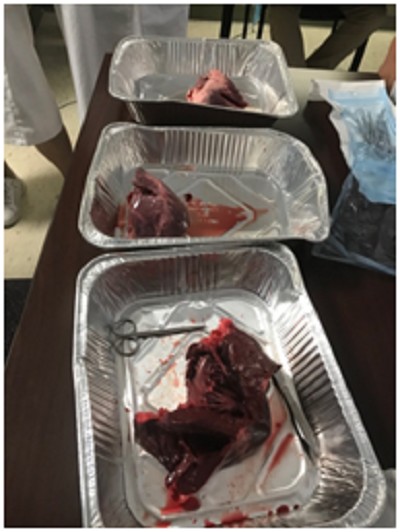 2018九球直播官网密歇根州立大学访学见闻系列之七